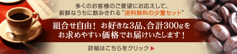 組合せ自由！お好きな3商品、合計300gをお求めやすい価格でお届けいたします！